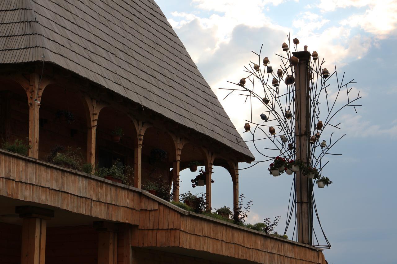 Casa Ralucai Hotel Moisei Buitenkant foto