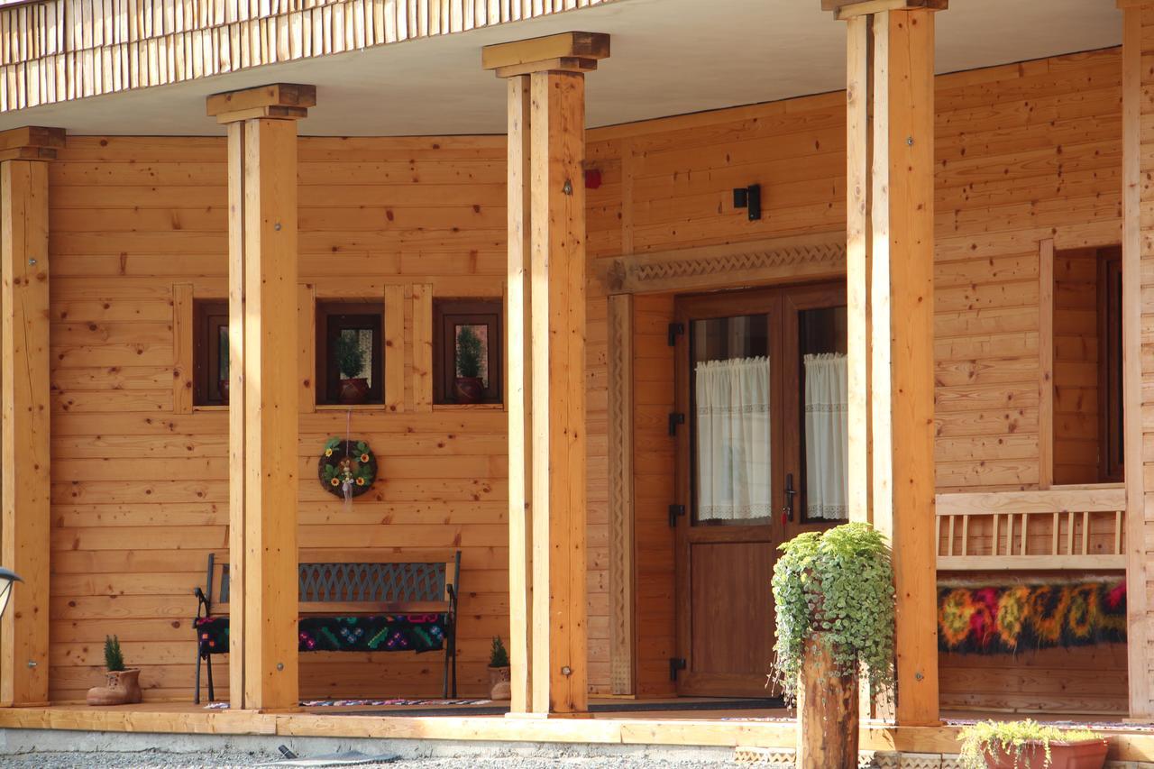 Casa Ralucai Hotel Moisei Buitenkant foto
