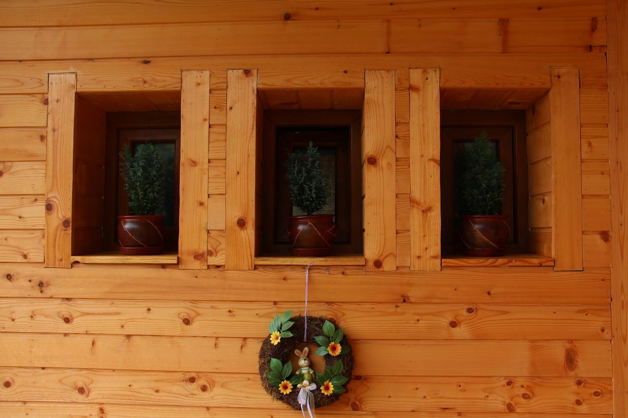 Casa Ralucai Hotel Moisei Buitenkant foto