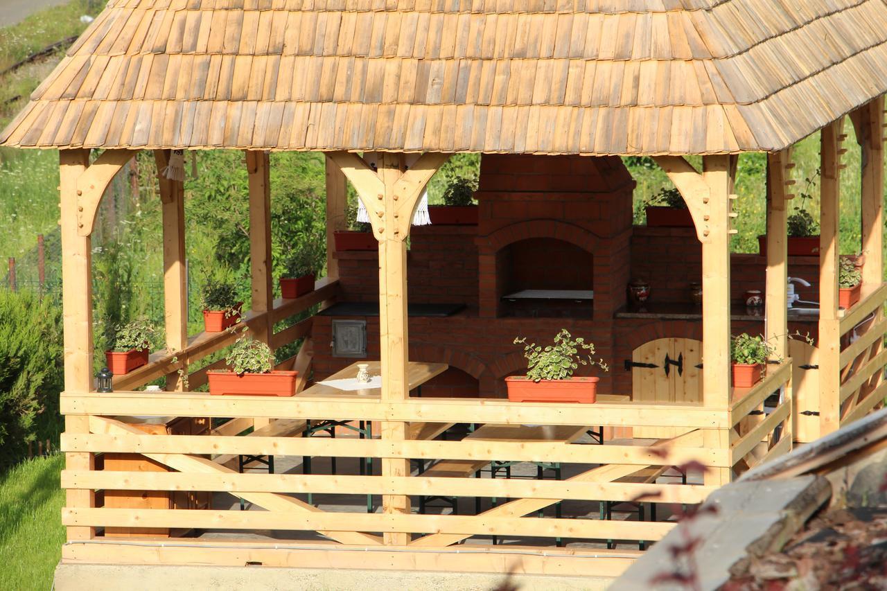 Casa Ralucai Hotel Moisei Buitenkant foto
